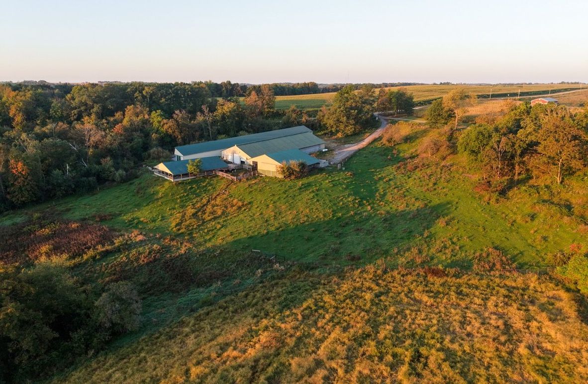 Monroe 5.31-02 Large