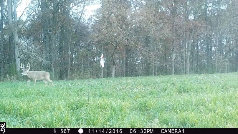 Copy of greene92 trail.11