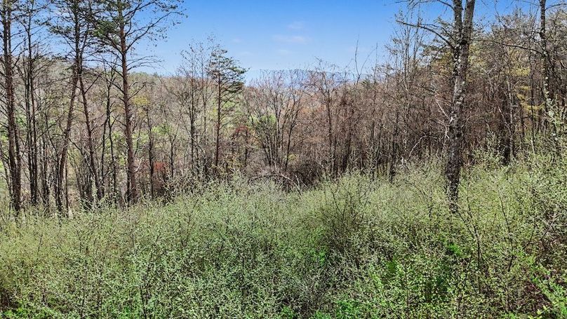 DJI_20260414120215_0030_D