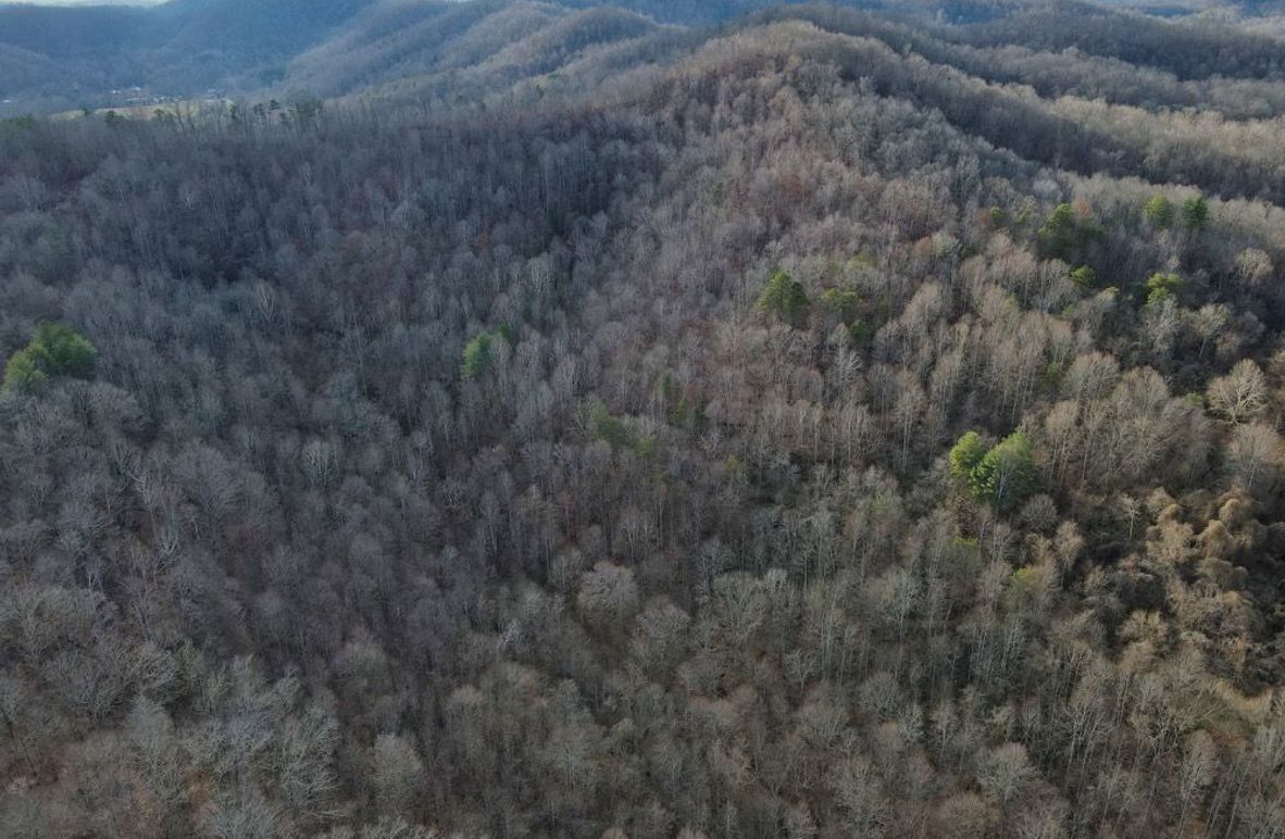 002 awesome aerial overview of the main hollow-2