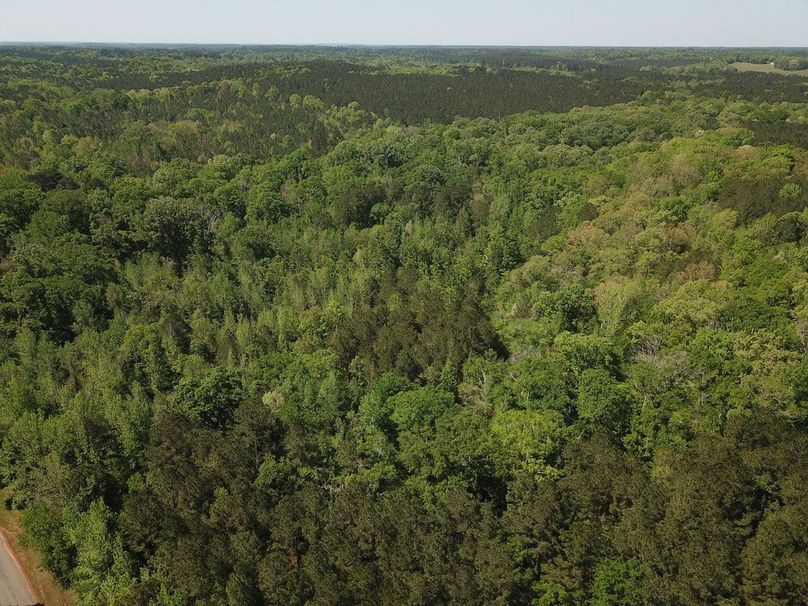DJI_0005