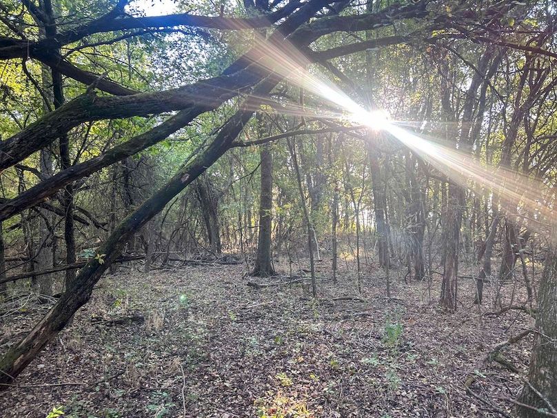 Lamar County- 93 acre reshoot (16 of 38)