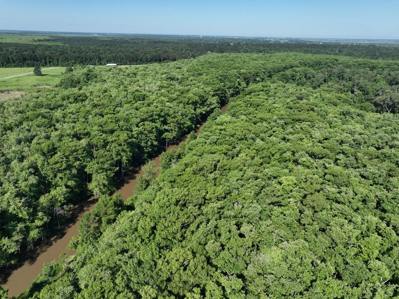 dji_fly_20260513_102038_438_1778687604064_photo