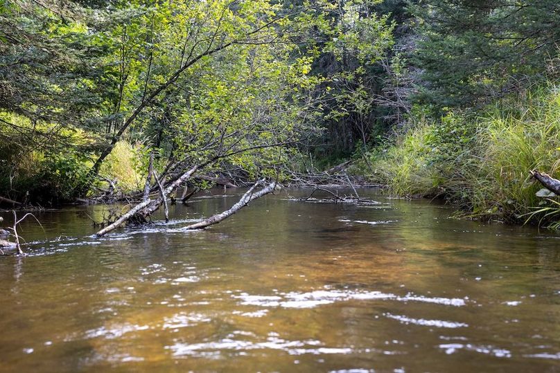 Mackinac 320 Copenhaver-61