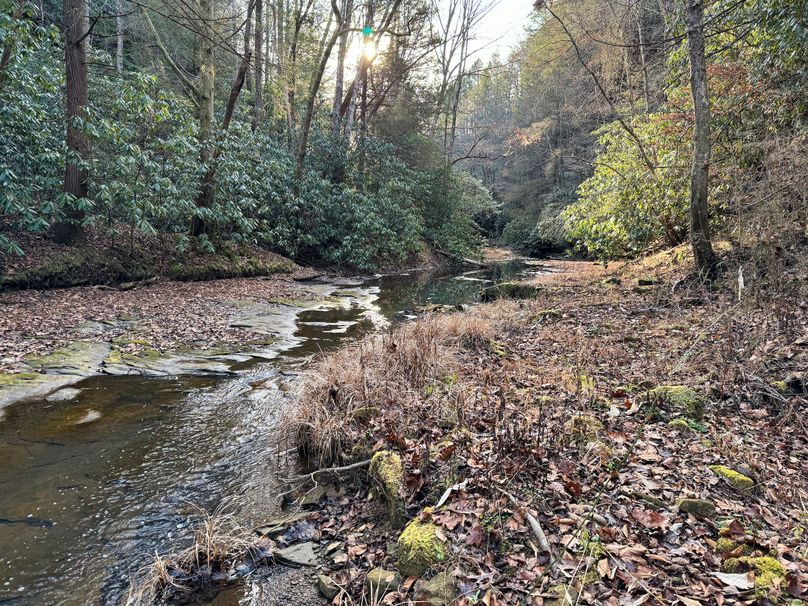 031 more nice creek views