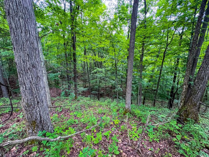 Tyler, WV 46 Lemasters -25