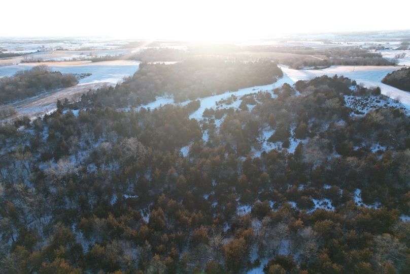 DJI_0494