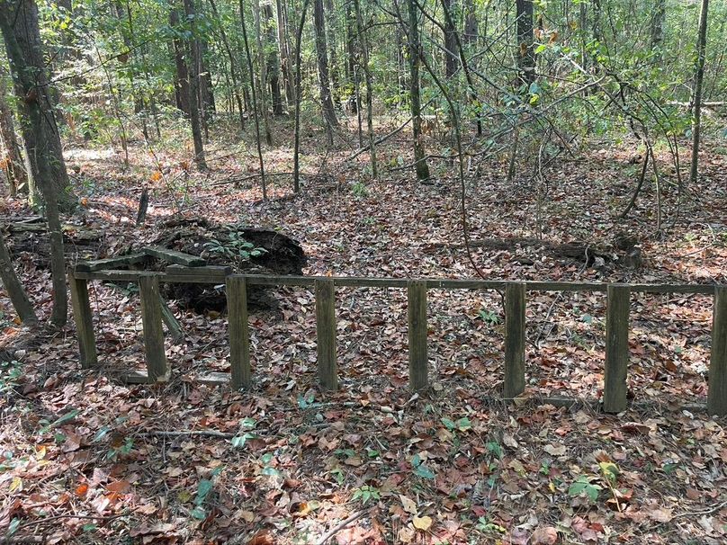 8E98CBD7-49E3-41A2-9D97-39D583FBFE15_1_105_c