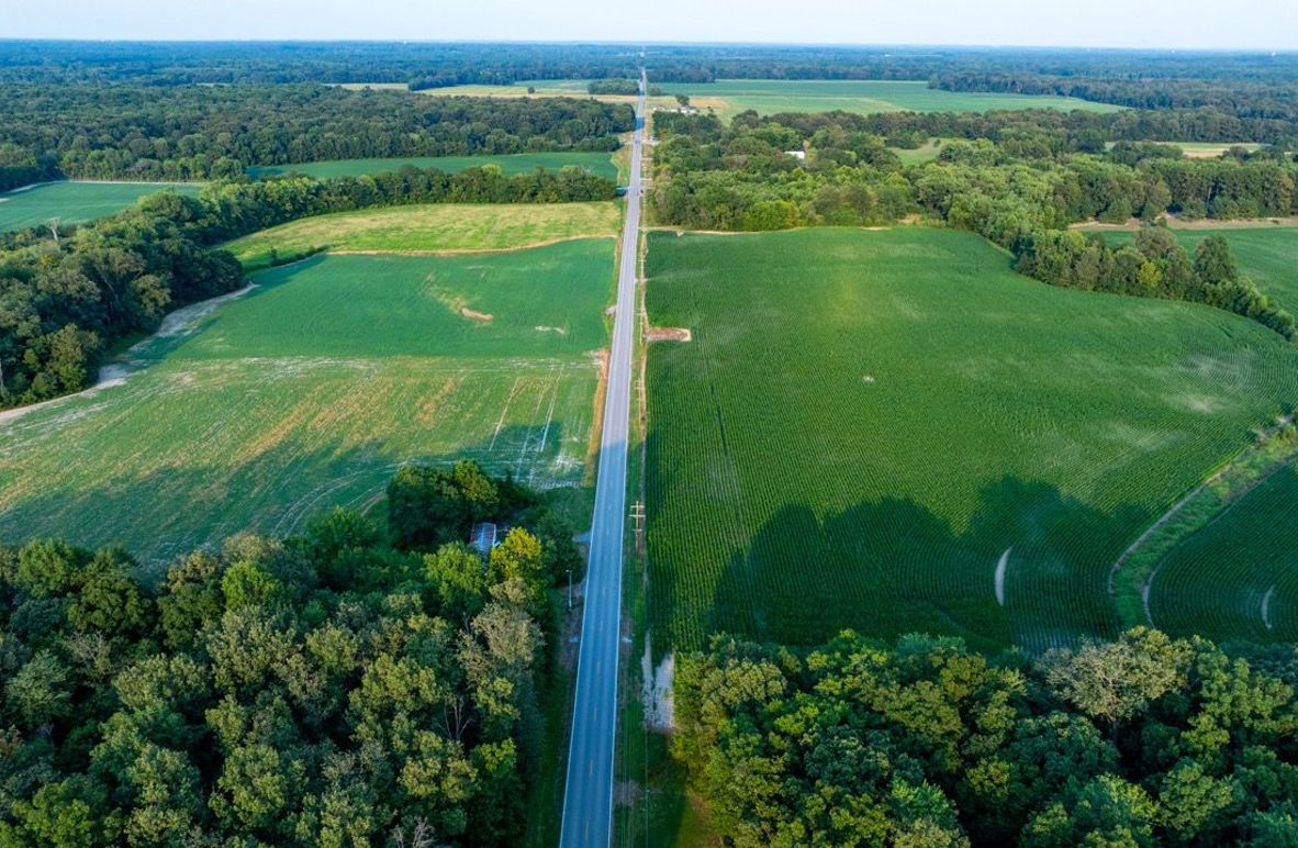 Copy of DJI_20250806055839_0055_D Large