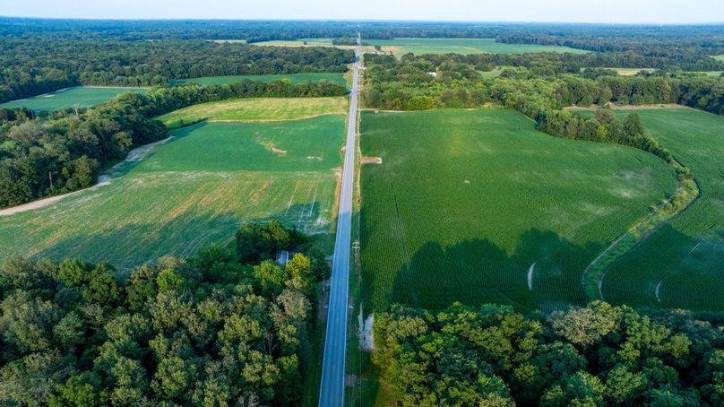 Copy of DJI_20250806055839_0055_D Large