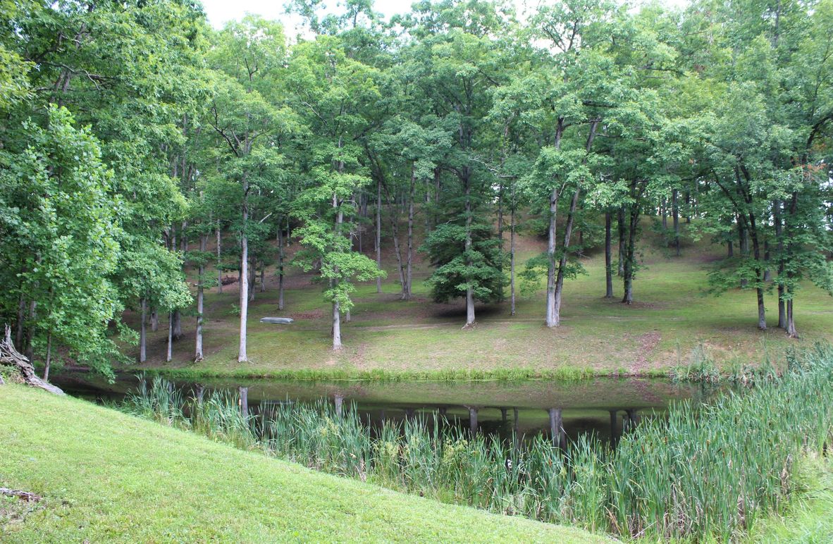 003 one of the two well stocked ponds