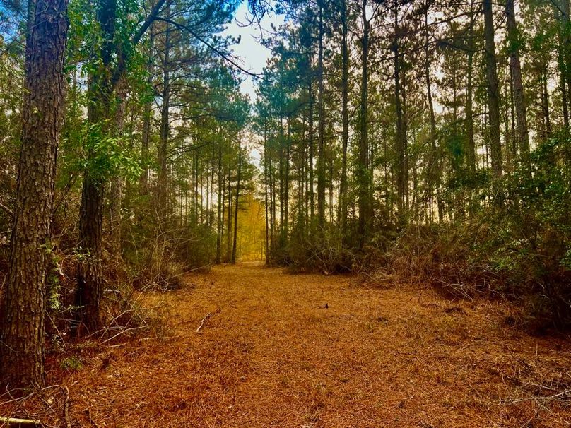 A229B2B2-376E-4DEE-A71E-3783F0CA621E_1_201_a