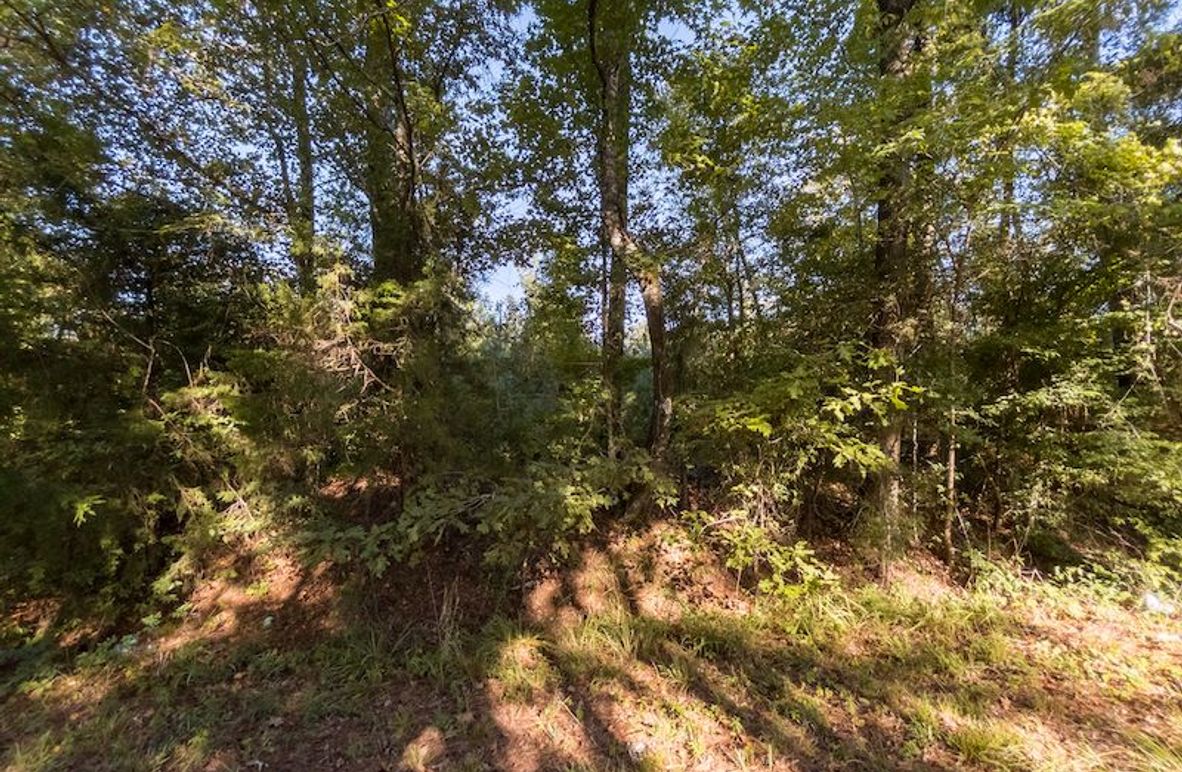 Hinds Co - 3.94 - Newman-4