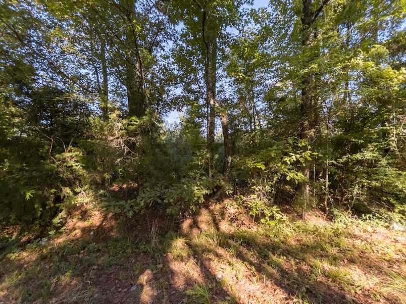 Hinds Co - 3.94 - Newman-4