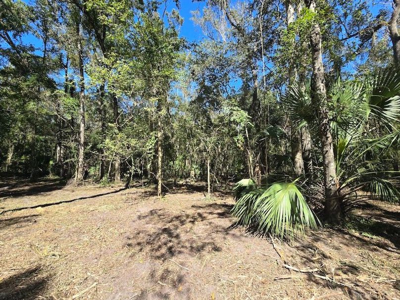 7.8ac, Citrus, Andrew Goering15