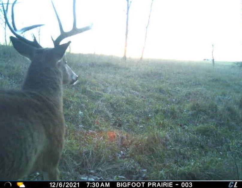 F9825CFF-050F-4460-9AC2-D34BCEBED3F0