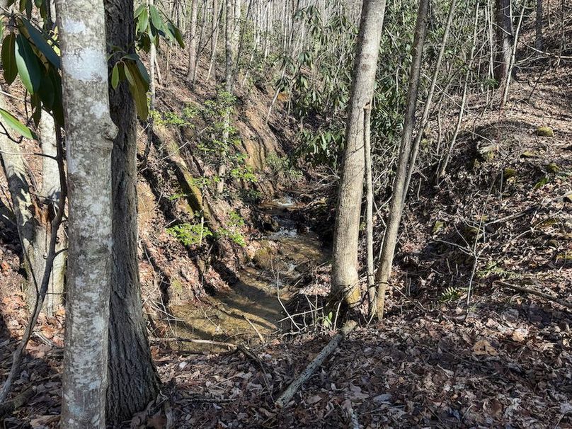 Cherokee 118.85 Harris Top-13