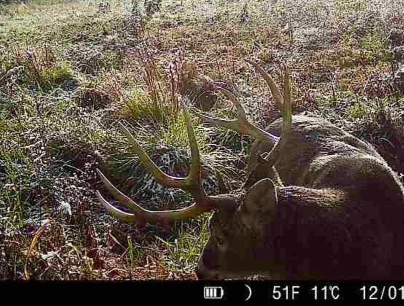 860516060742974-60-4-12012024083228-W1002386