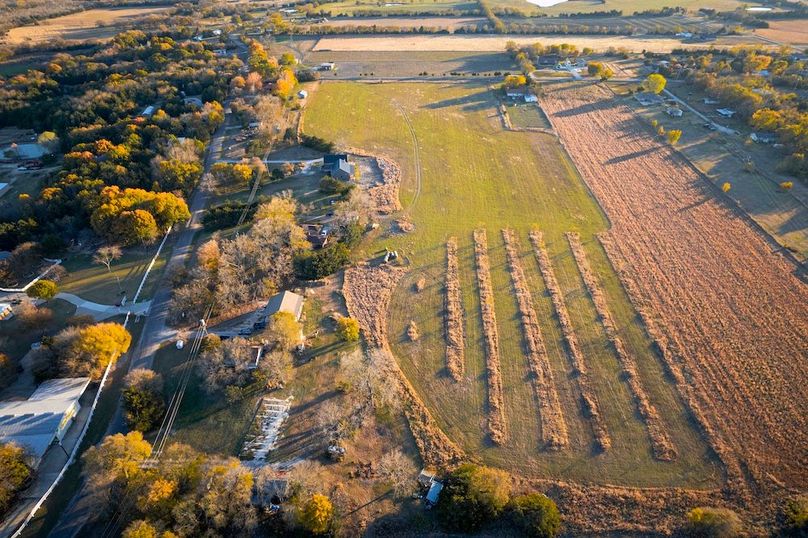 Collin 17 acres (5 of 21)