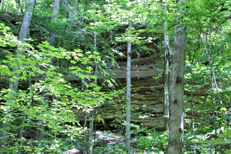 014 look closely and you can see the sandstone cliffs near the creek valley