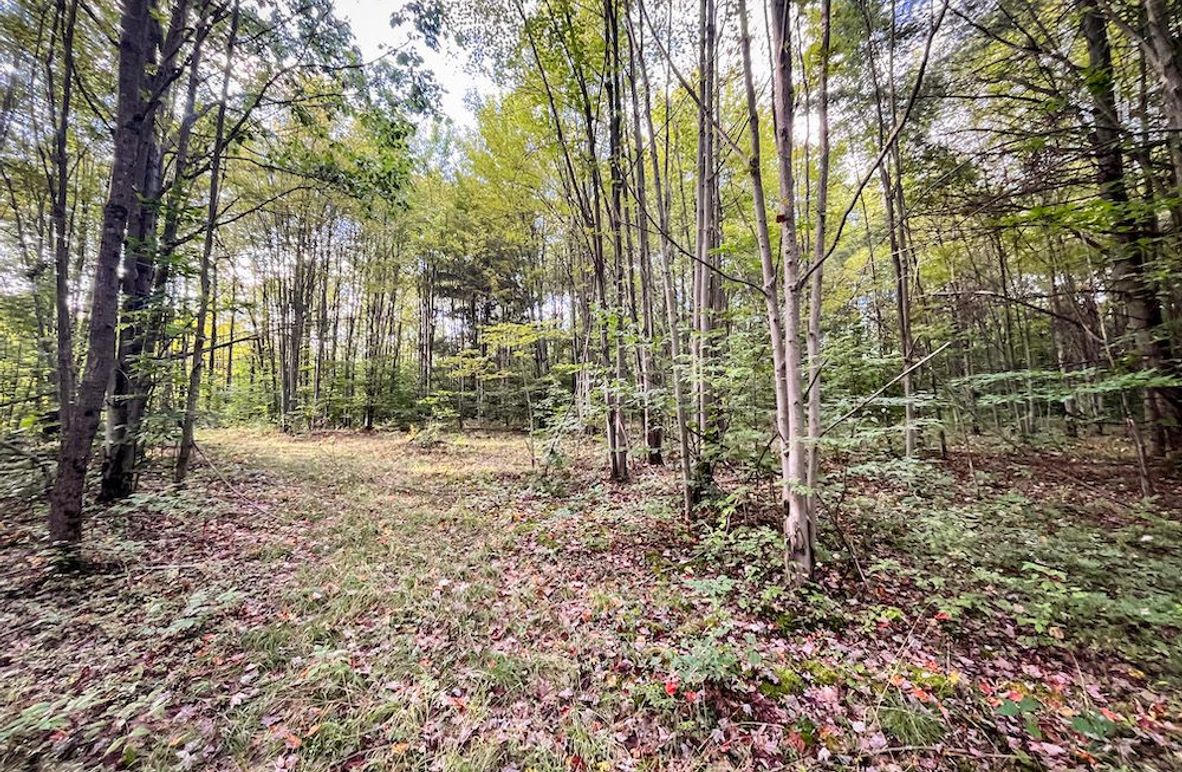 Chemung_140.13_Baumunk_Photos_3