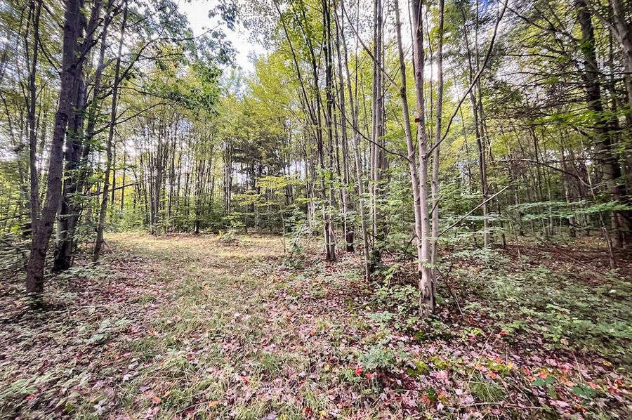 Chemung_140.13_Baumunk_Photos_3