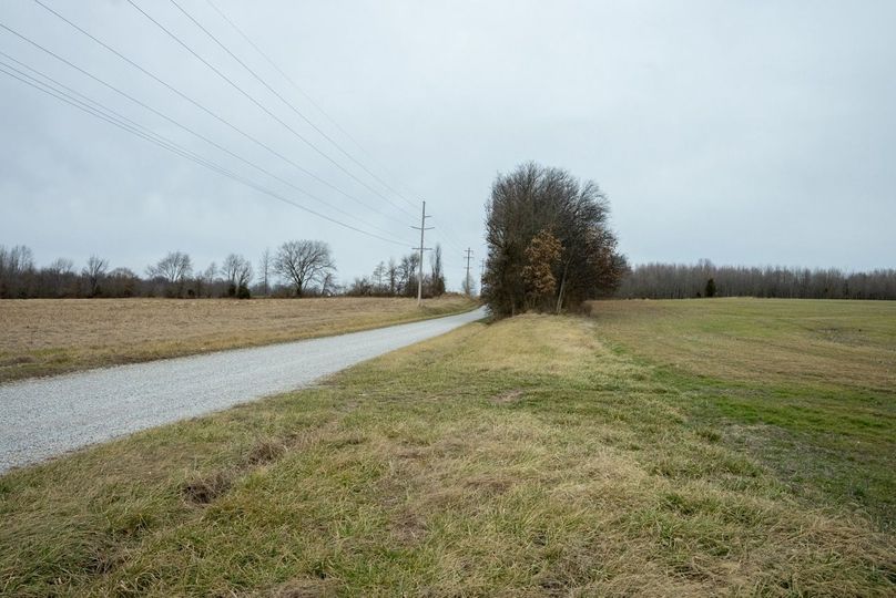 Copy of DSC00770 Large