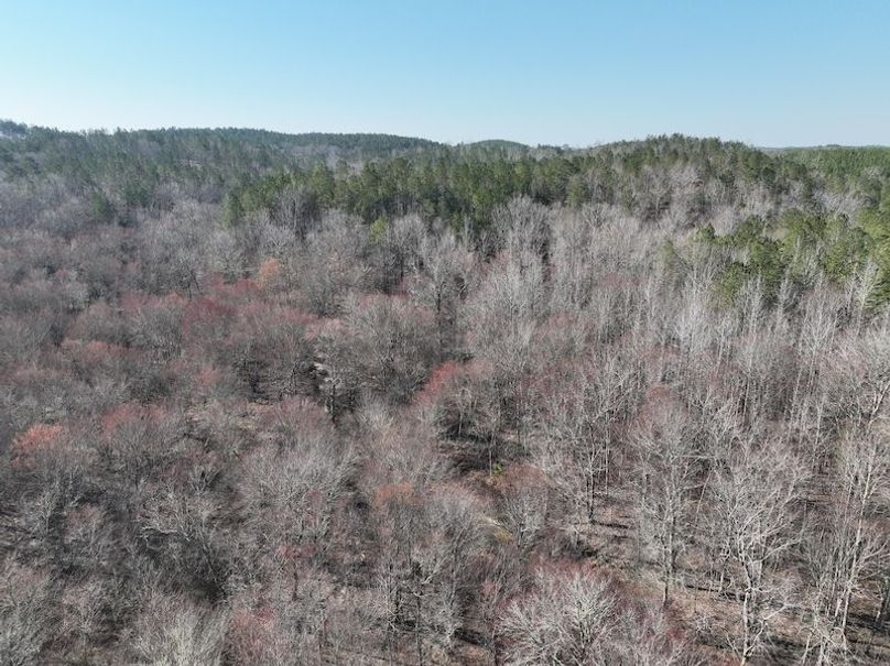 DJI_0948