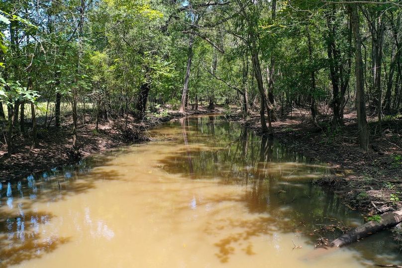 38 Leon Co. 117ac-15