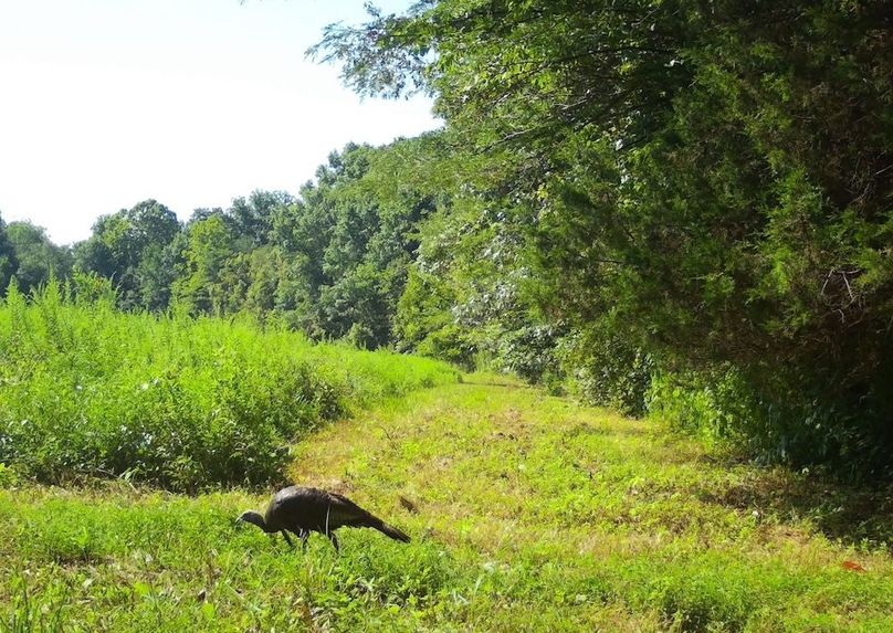 Copy of IMG_3201 Large