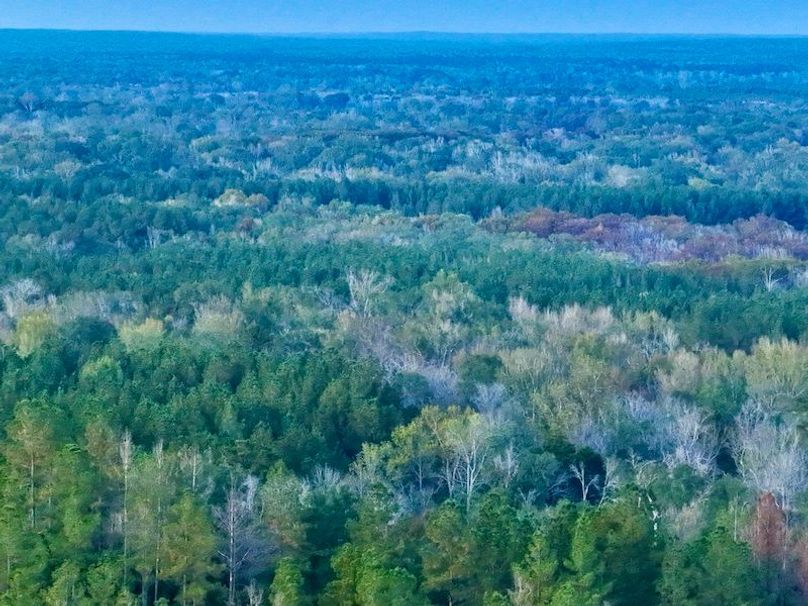 88BB6F94-D36D-4FA6-BE1F-039905EFE140_1_105_c