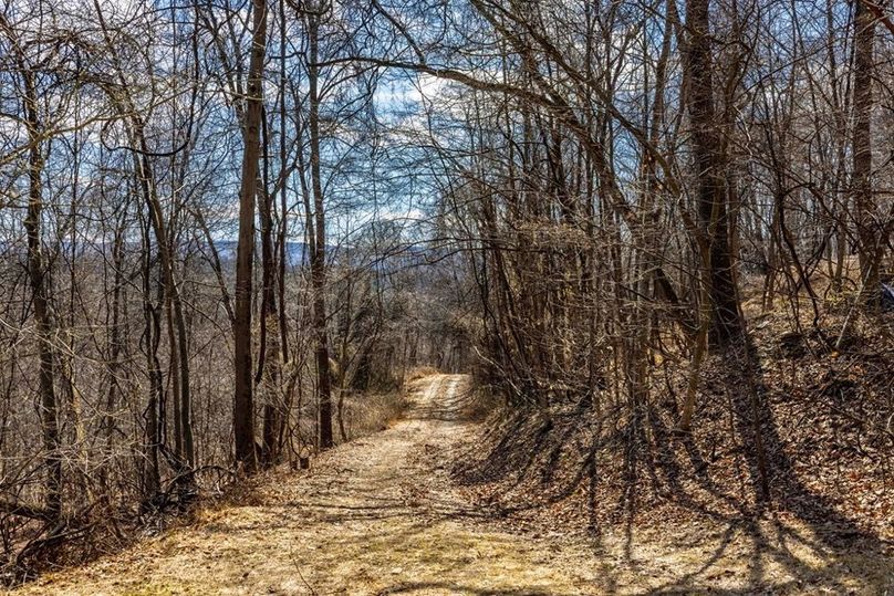 19-web-or-mls-IMG-19