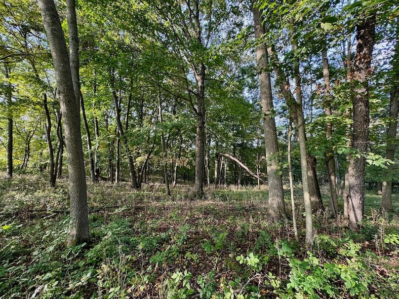 Richland 199Ground - 46