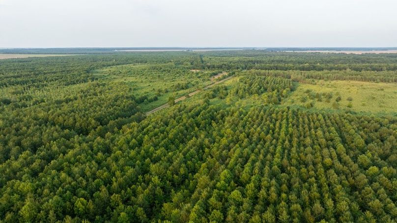 MadisonParLa1372-061