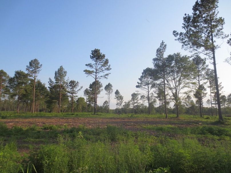 395DDC23-08E5-4297-A39E-3A30B6AB88DC_1_105_c