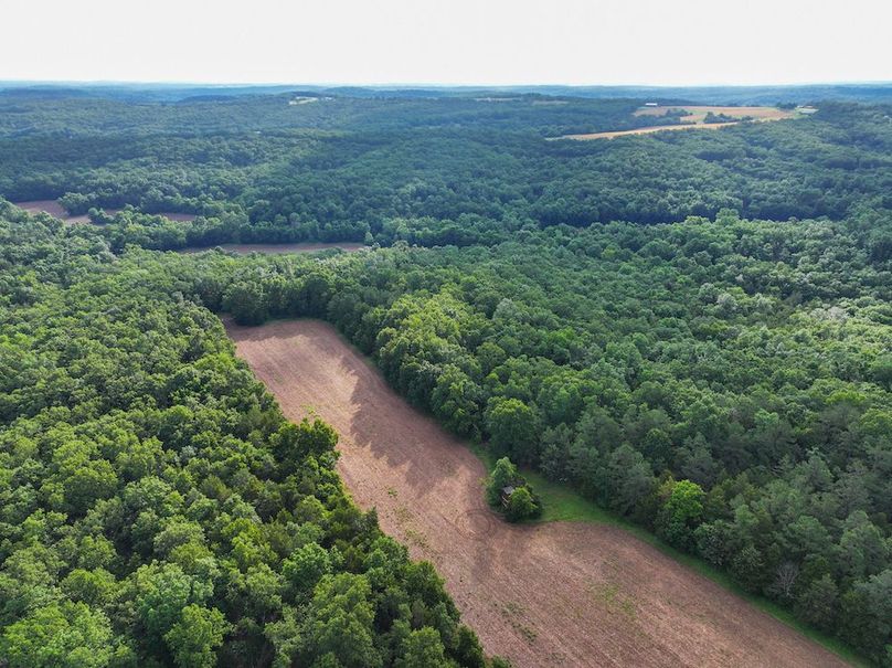 DJI_20260602075411_0238_D