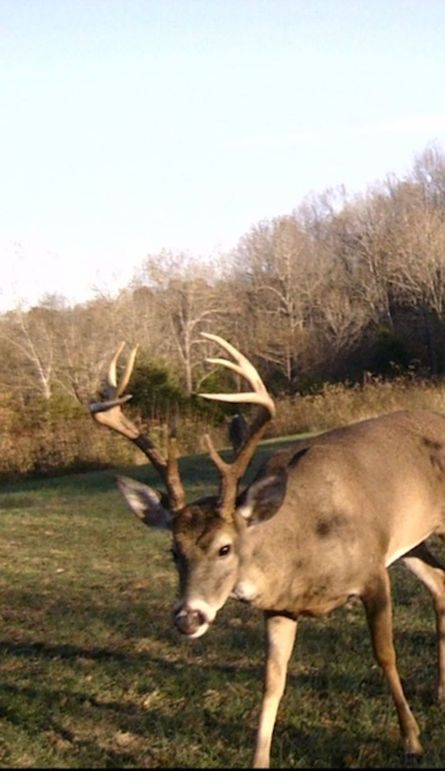 14588D78-9E2C-4BB5-8819-FA868D137746