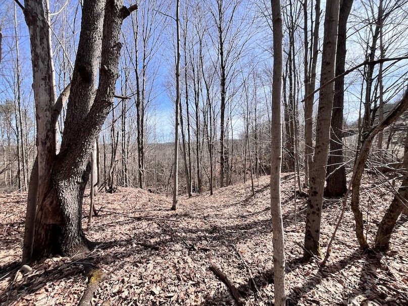 Lewis_26_Somberg Photo 57