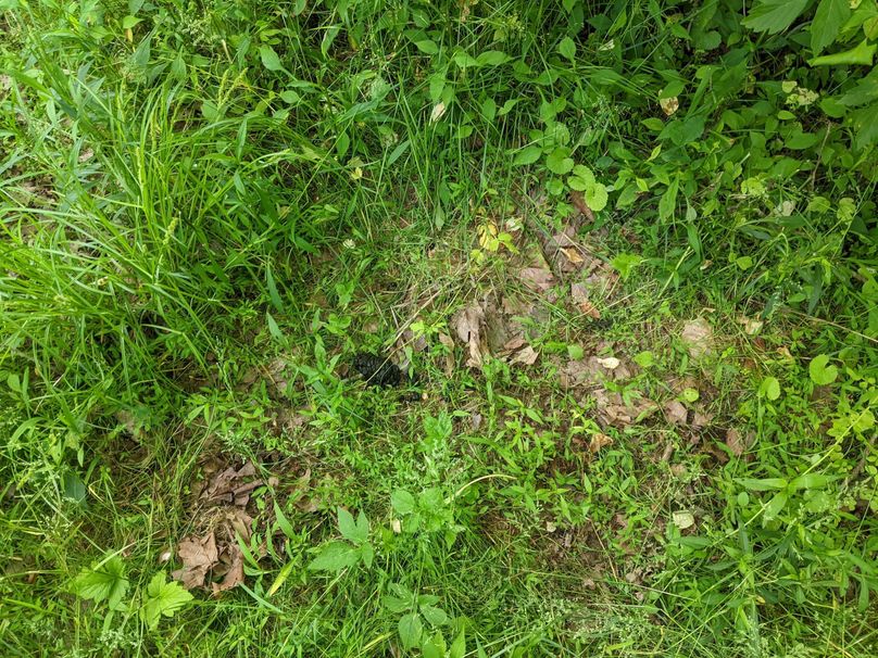 PXL_20230602_130823702