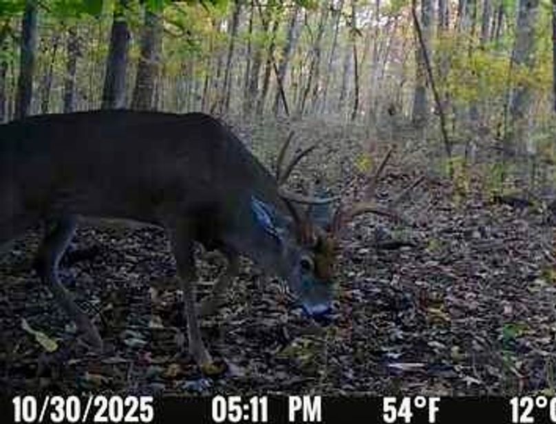 878E68AA-BBD8-4AA8-B937-A5D392EDC1B9_4_5005_c