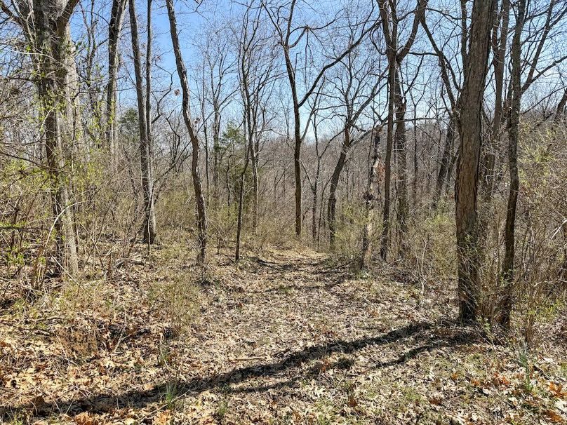 Fleming Petry 115-27