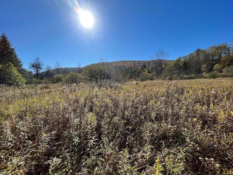 Schuyler_25.155_Ennis_Photos_10