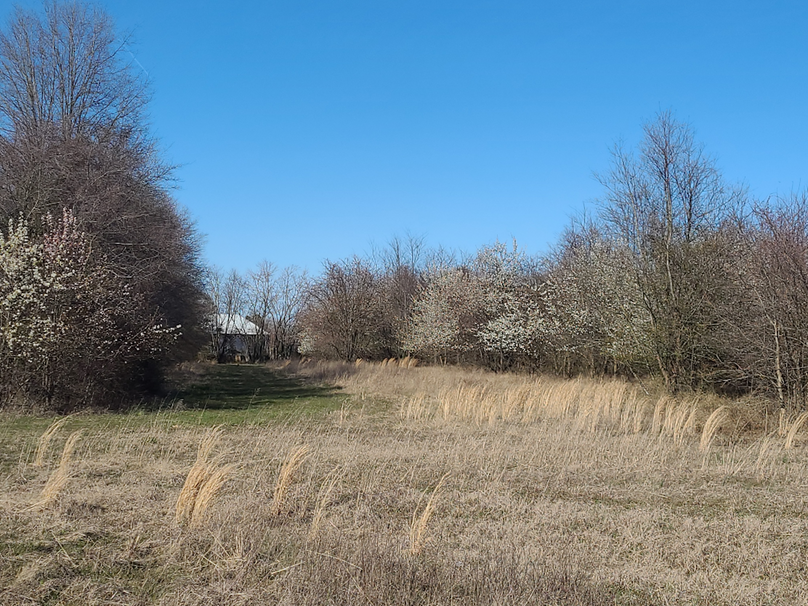 50.38ac_BethlehemRd_Caroline_Pic014