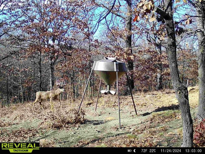 865814048246068-60-1-11242024130300-HD-W1004842