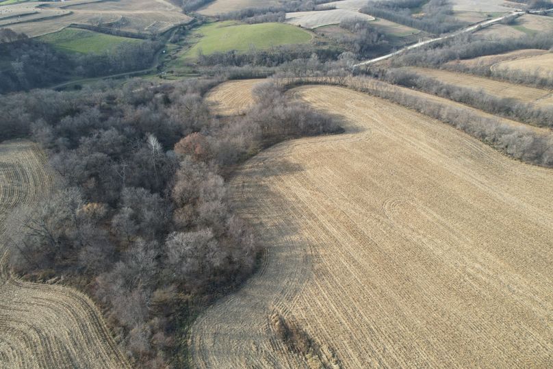 DJI_0006