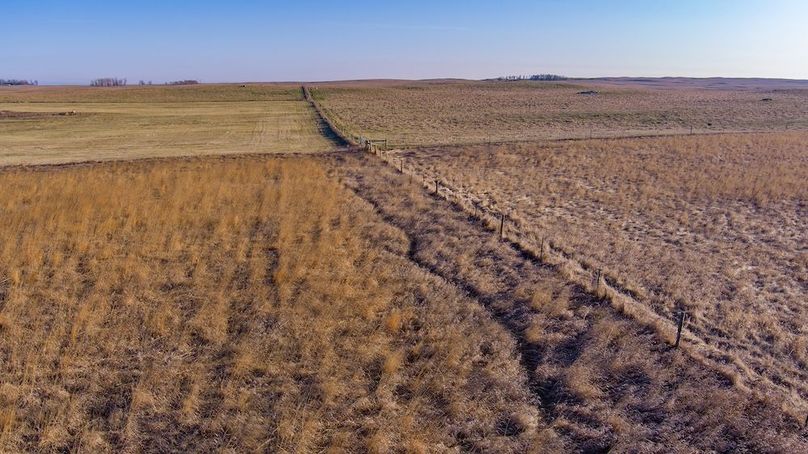 4. fenceline