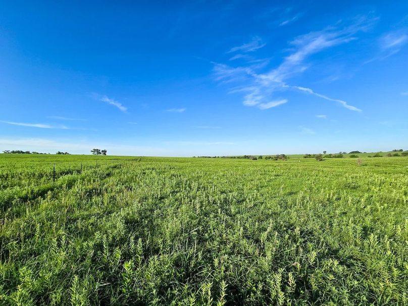 Copy of 20250625_073141