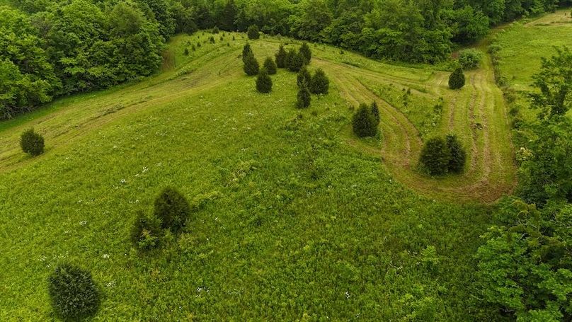 DJI_20250605125320_0608_D