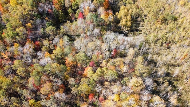 dji_fly_20241010_133248_421_1728585676449_photo_optimized