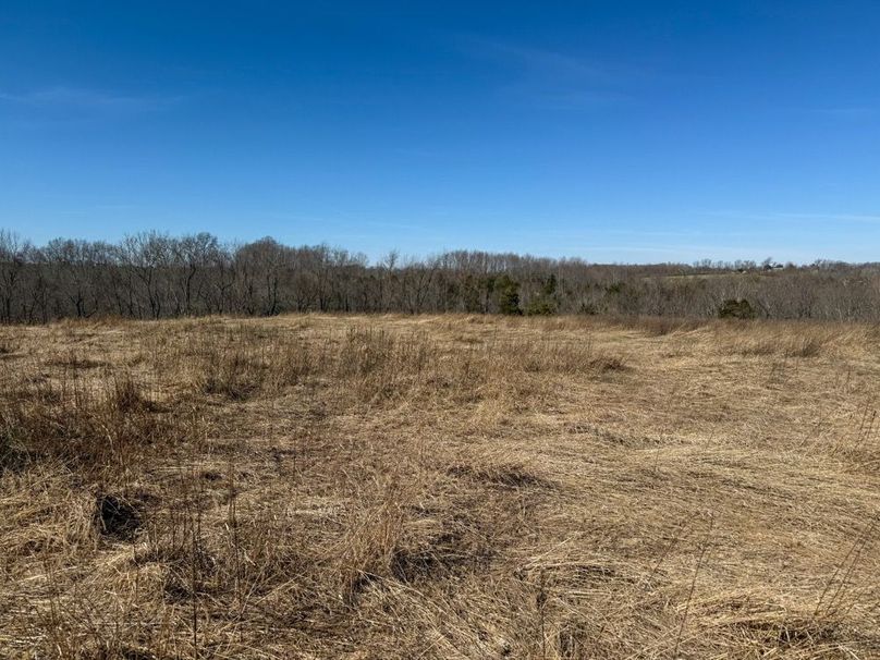 Fleming Petry 120-083